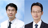 '다능성 인자'로 뇌손상 기능 회복 가능성 제시