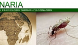사나리아, 말라리아 백신 ‘PfSPZ’ FDA 신속심사 지정