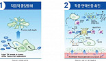 '기술특례 최대어' 신라젠, 간암 3상에 걸린 기대/우려