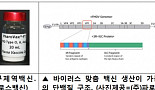 국내개발 '바이러스 변종 조기대응' 구제역 백신 해외진출