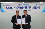 툴젠, 아비노젠에 'CRISPR 유전자편집' 기술이전 계약