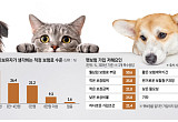 “20년 만기라더니 매년 재가입 부담”⋯ 펫보험, ‘평생 안심’은 아직 멀다 [펫보험의 역설]