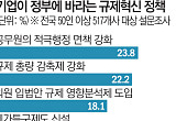 “규제 풀라보다 행정부터 바꿔라”…기업들, ‘면책ㆍ정부투자’ 요구로 이동 [예측 막힌 기업]
