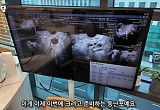 “난자 7개 준비돼 있습니다”…난자 동결 2주 프로젝트, 사실상 임신 준비 같아 [붙잡은 미래, 냉동난자 上]