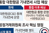  ‘하늘 위 면세점’ 싹쓸이 노리는 대한항공…공정위 “독과점 여부 따진다” [합병 막바지, 걸린 족쇄]