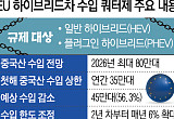 中 잡으려다 ‘한국산’까지 잡힌다⋯EU 하이브리드 쿼터제의 역습 [관세 장벽, 쿼터의 역습]