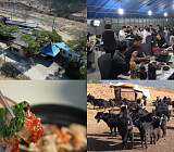 '극한직업' 청양 밥주는 민박집 흑염소 코스 준비하는 정성