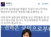 '촛불은 민심이 아니다' 서석구 변호사에, 더불어민주당 추미애 대표 "도저히 용납 안 돼"