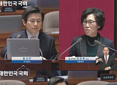 [국회 대정부 질문]김삼화 의원, 황교안에 위안부ㆍ고용 문제 질의