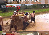 '정글의 법칙' 지상렬, 소 경주 도전 "와이파이 소를 데려와?" 분노