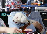 '대화가 필요한 개냥' 슬리피, 강아지 전용 맥주 맛? '당황'