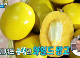 ‘좋은아침’ 와일드망고 효능 전해…홍지호 “10주간 섭취, 체지방 6.3%↓”