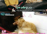 '대화가 필요한 개냥' 이정신, 반려견 애정 "내가 더 좋아"