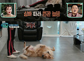‘대화가 필요한 개냥’ 이정신, 심바와의 일상 공개 “집에 있는 시간 많아졌다”