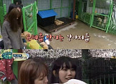 '개냥' 윤은혜, 유기견 보호 센터 방문 '선물+청소+산책'