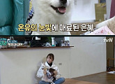 '개냥' 윤은혜, 유기견 온유 "교육 잘 받은거 같은데..." 안타까움