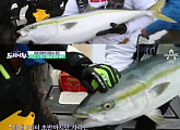 ‘도시어부’, 또 자체 최고 시청률…마닷 대물 방어 맹활약