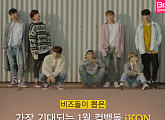 [카드뉴스]1월 컴백돌 'iKON(아이콘)' 취향저격한 숨은 띵곡은?