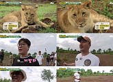 '뭉쳐야 뜬다' 추성훈 새로운 애완동물? 리얼 사자 "잘 어울려"