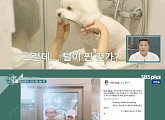 '야간개장' 한보름, 셀프 인테리어+애견 미용사+바리스타 '팔색조'