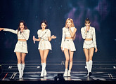 "佛 블링크 '뿅봉' 들고 '떼창'"...블랙핑크, 프랑스 공연 '성황'