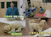 '자연스럽게' 조엘, 수의사 설채현 지도 아래 '천재견' 등극...조병규 아빠 미소