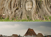 '걸어서 세계속으로', 14세기 태국의 거대한 왕국…아유타야 문명의 흔적들