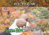 복령 찾기도 뚝딱...'나는 자연인이다', 해발 600M 계곡 사는 손재주 만렙 자연인