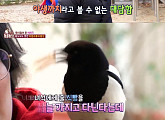 'TV 동물농장', 아파트 놀이터에 사는 겁 없는 까치…별난 친근함에 주민들 '혼비백산'