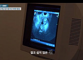 'EBS 명의' 황경주ㆍ김미란 교수가 말하는 난임의 원인과 치료의 모든 것
