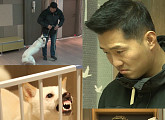 '개는 훌륭하다' 강형욱, 역대급 으르렁 개ㆍ마음 여린 보호자 교육…임시 보호 현실 강조