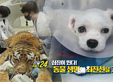 '관찰카메라 24' 노령ㆍ중환자 전문 분당 2차 동물병원과 호랑이 치료 청주동물원의 수의사들