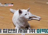'개통령' 강형욱, 소유욕 강한 시바이누(시바견) 교정…상상초월 영리함