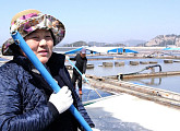 '한국인의 밥상' 소금꽃 피어나는 계절…토판염ㆍ자염ㆍ버섯마늘소금 소개