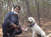 '순간포착' 진돗개 백구 별이, 9일 만에 20km 거리 걸어 컴백홈