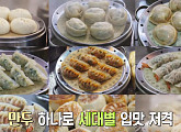 '찹쌀 만두피' 500원 만두 자산 10억 원...만둣집 사장님의 노하우 공개(서민갑부)