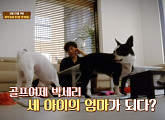 '우리집 막내극장' 박세리, 집에서는 반려견 모찌ㆍ찹쌀ㆍ시루 집사…'셰퍼드 대부' 노주현의 전원일기