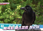 까마귀 깜순이, 체육공원 마스코트 등극 '친화력 갑'
