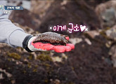 '군소'보고 놀란 이광수 전복 채집 성공...유해진 "군소가 우리랑 인연이 많아"