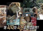 '로어', 100여 마리 맹수가 출연한 영화 때문에 이혼한 부부(서프라이즈)