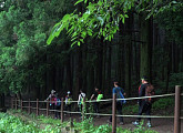 조계산 순천굴목재, 선암사ㆍ편백숲부터 법정 스님 '무소유' 집필된 송광사까지 이어진 순례길(다큐멘터리 3일)