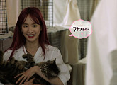 우주소녀 설아, '고양이를 부탁해' 이문동 고양이 구조 나선다