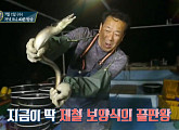 갯장어 샤브샤브ㆍ장어회, 서대ㆍ양태ㆍ병어 숯불구이 등 '고흥' 먹거리(관찰카메라24)