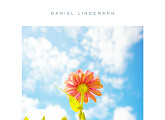 다니엘 린데만, 오늘(10일) ‘Keys to Summer’ 발매
