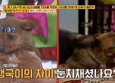 '행국이', 시청률 70% 레전드 개그 코너 '쓰리랑부부' 강아지의 비밀