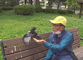 까치 '까돌이'와 할아버지의 아름다운 인연(순간포착 세상에 이런일이)