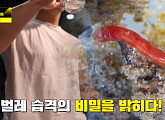 '깔따구' 수돗물 유충 벌레 습격의 비밀을 밝히다(이규연의 스포트라이트)