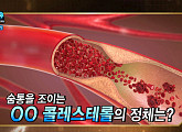 최성문 몸신의 '렌틸콩 주스' 콜레스테롤↓…LDLㆍHDLㆍ렘넌트ㆍsdLDL 콜레스테롤의 모든 것(나는 몸신이다)