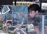 EBS'극한 직업' 테라리움ㆍ플랜테리어ㆍ벽걸이 수족관 등 나만의 바다세상 수조 조경 전문가 만나다