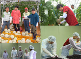 '보는날이 장날' 이수근ㆍ양세찬ㆍ이진호ㆍ이연복ㆍ김재환, 복분자 선별부터 멜론 수확까지